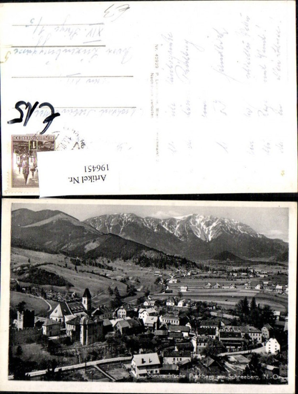 196451,Puchberg am Schneeberg Totale