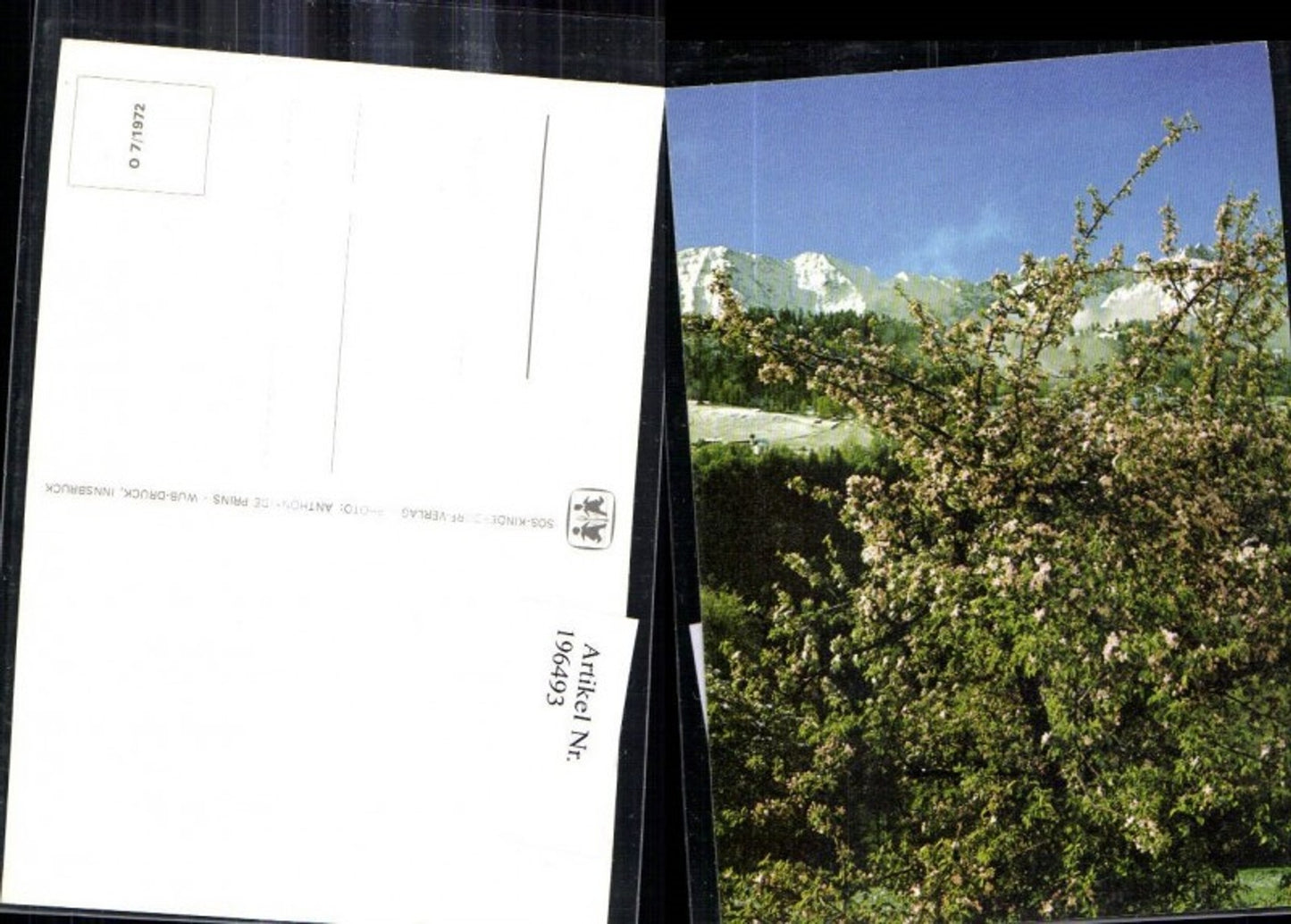 196493,SOS Kinderdorf O 7/1972 Berglandschaft Partie blühender Baum