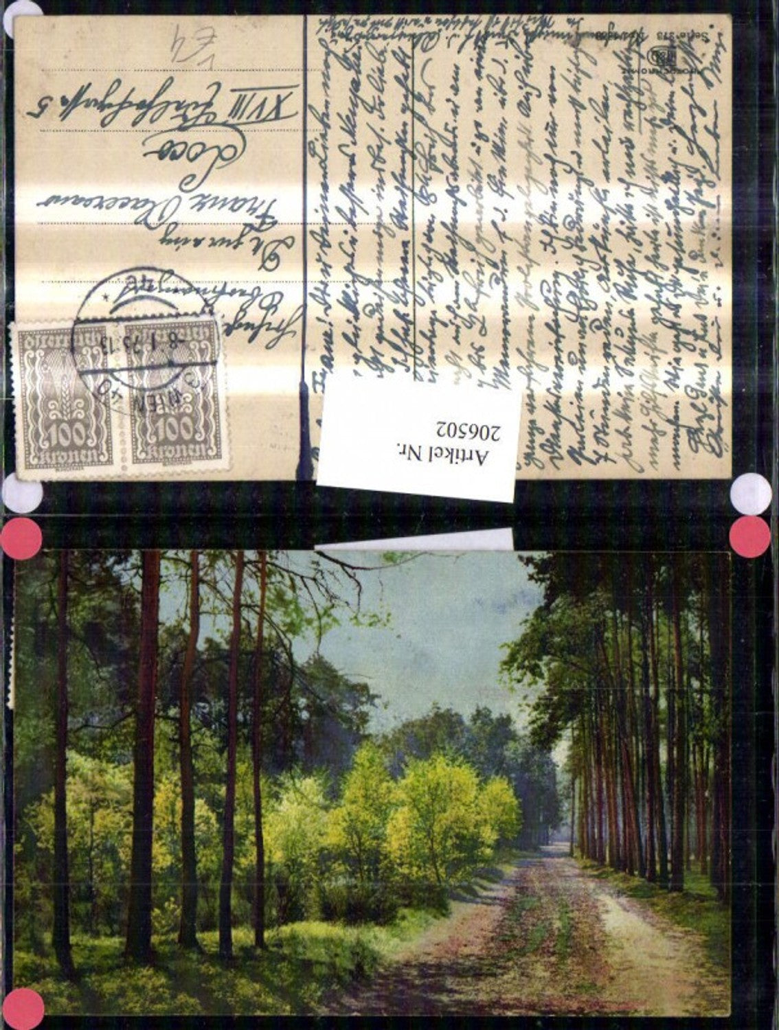 206502,Photochromie 273/4239 Partie im Wald Weg