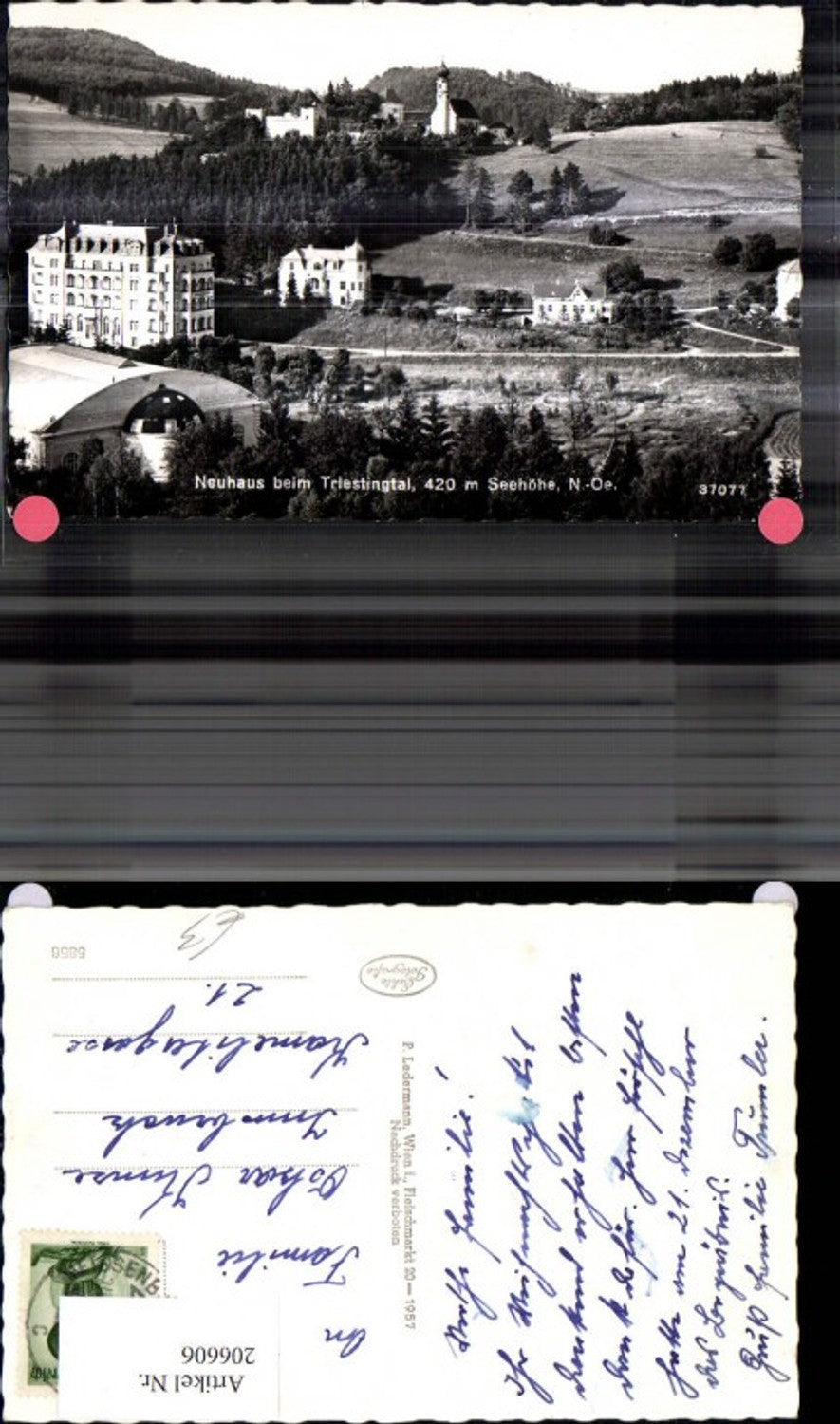 206606,Neuhaus b. Triestingtal Ansicht