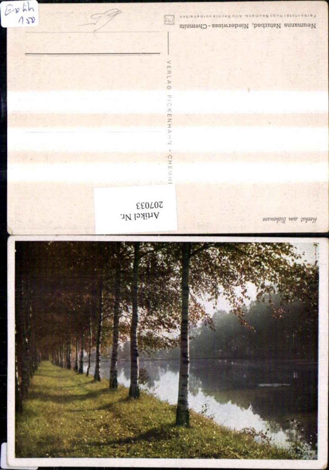 207033,Herbst am Birkensee b. Nürnberg Birkenallee Allee