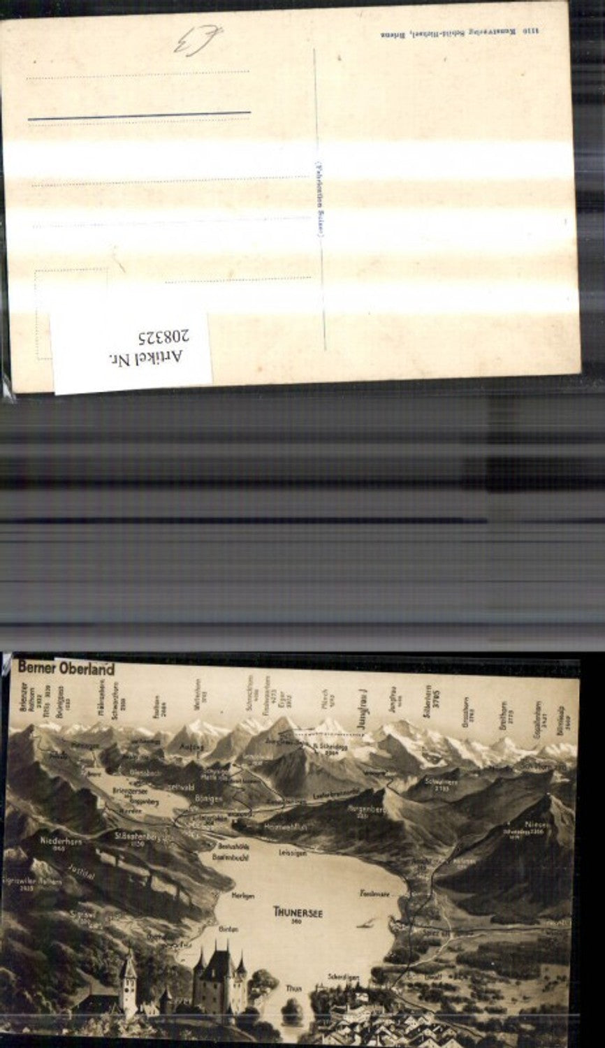 208325,Berner Oberland aus d. Vogelschau Thunersee Thun Burg Kirche Schloss Interlaken Spiez Oberhofen Brienz Kt Bern