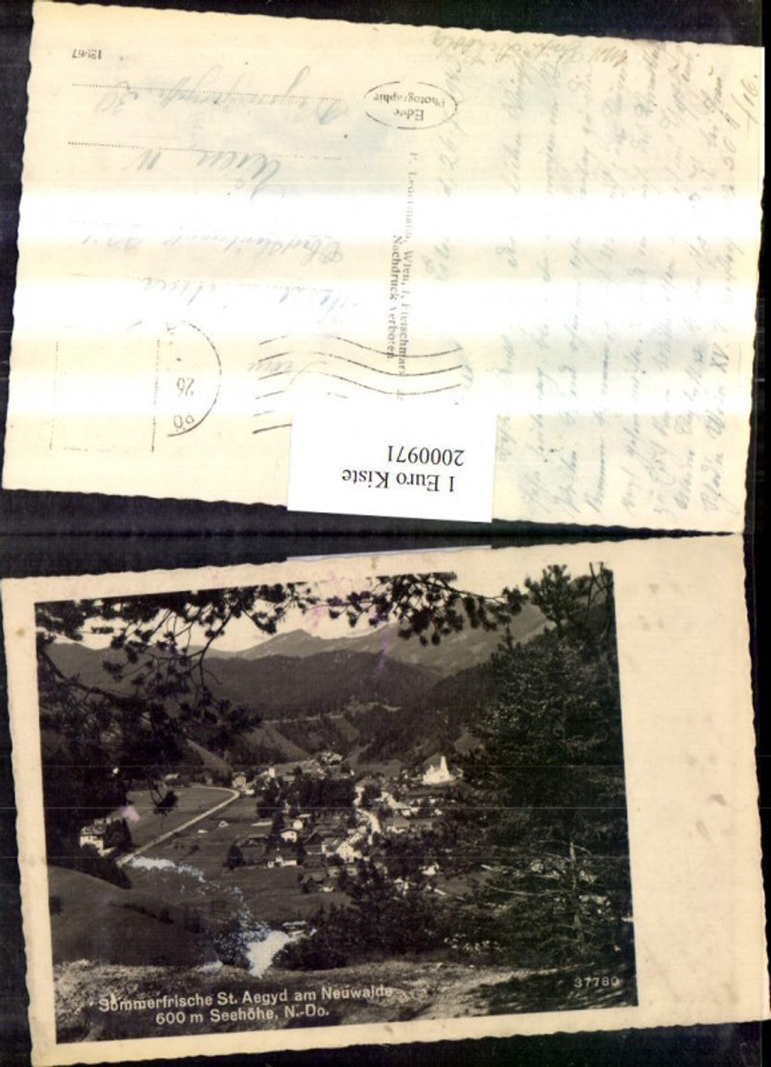 2000971,St Aegyd am Neuwalde Totale