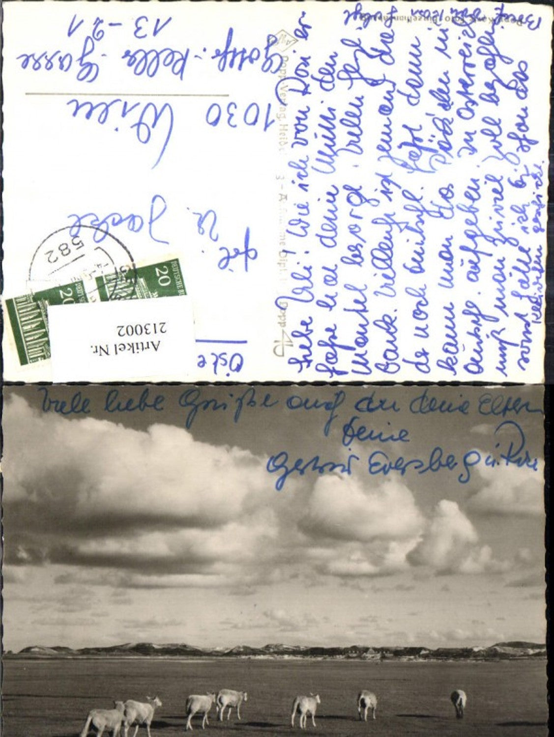 213002,Popp Verlag 2370 Kühe a. Weide Rinderherde
