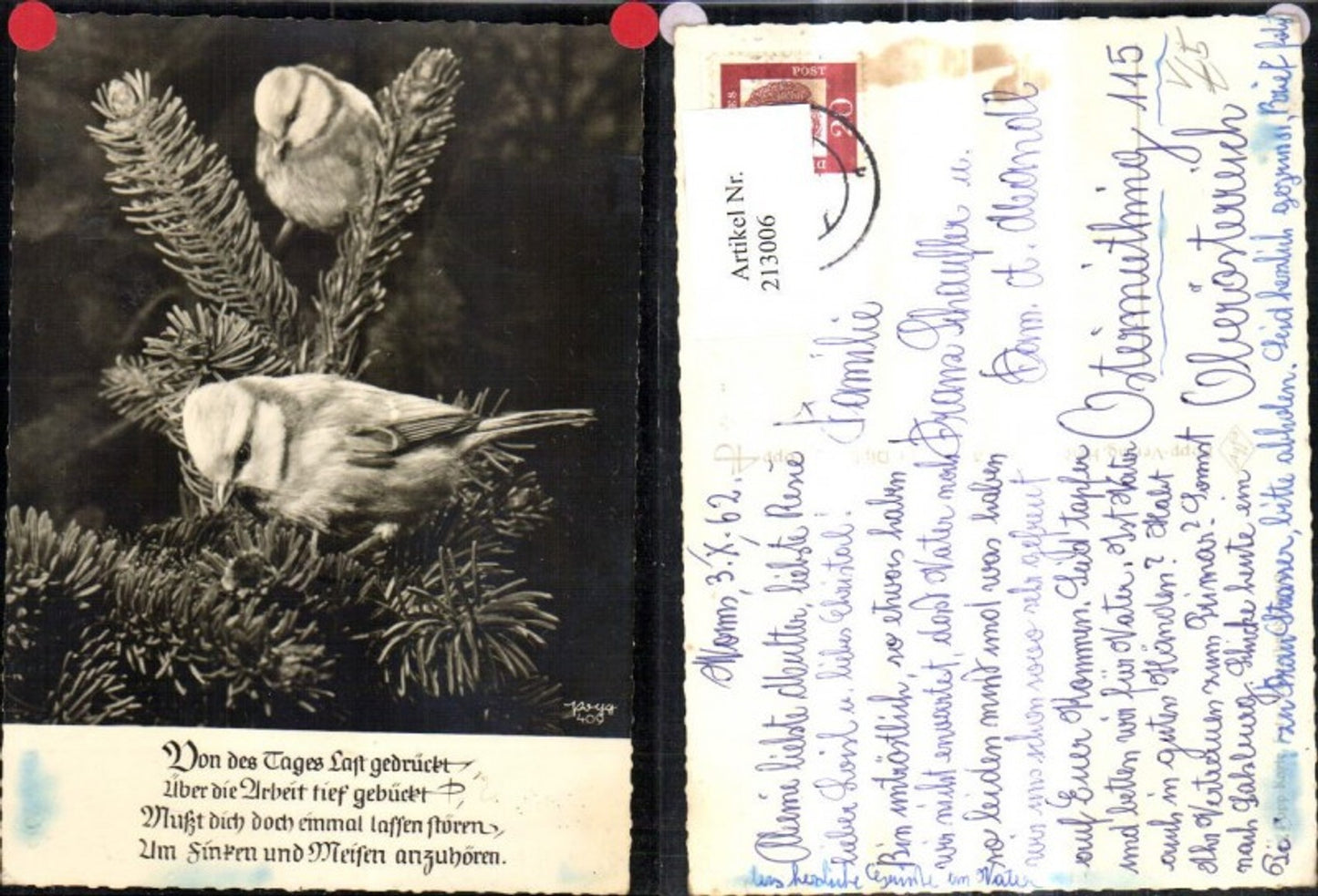 213006,Popp Verlag 409 Vogel a. Tannenzweig Spruch Text