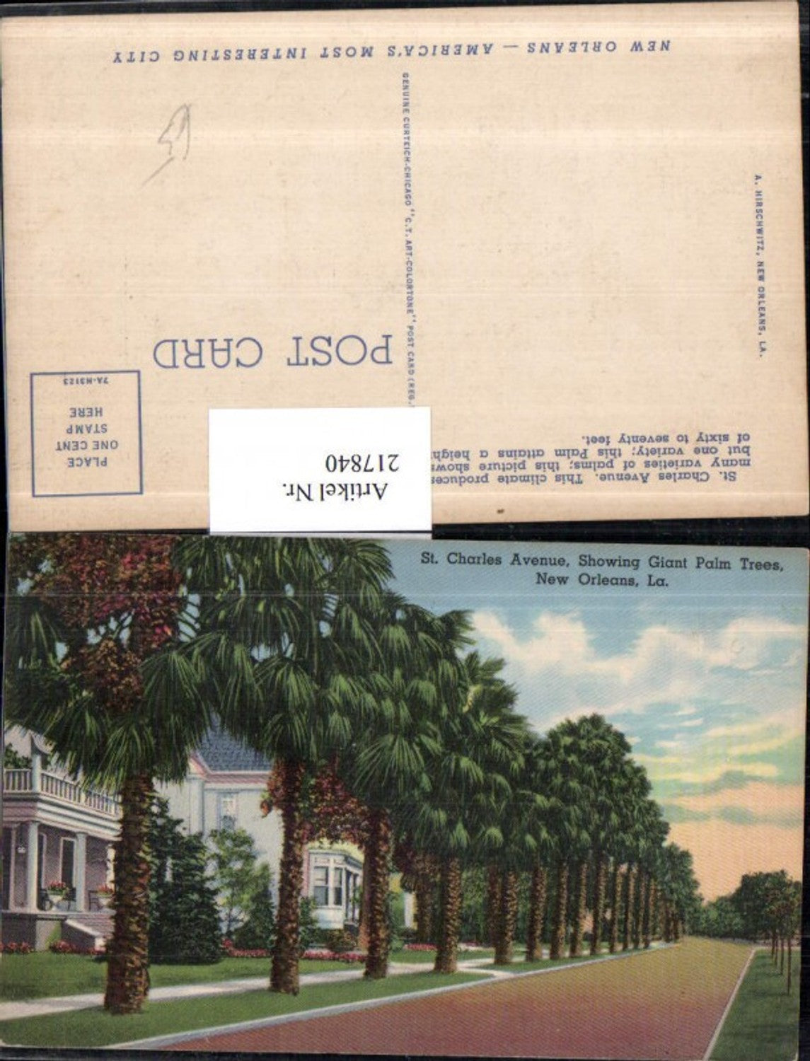 Alte Ansichtskarte – Old Postcard