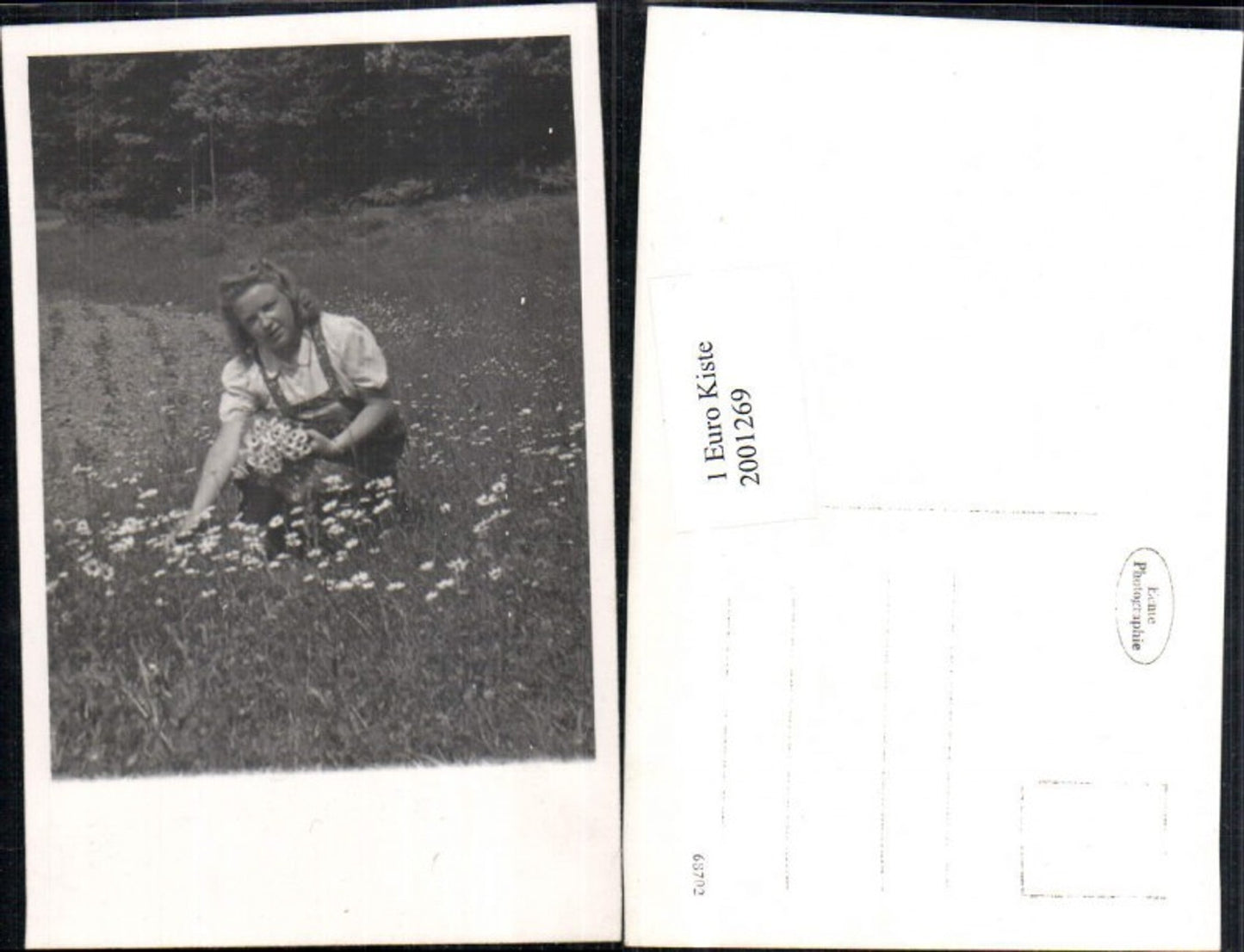 2001269,Foto AK Frau b. Blumen pflücken Margeriten
