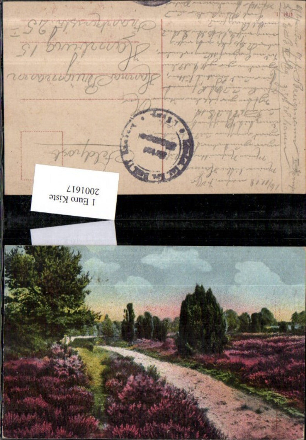 2001617,Landschaft Feld Blumen Weg Straße