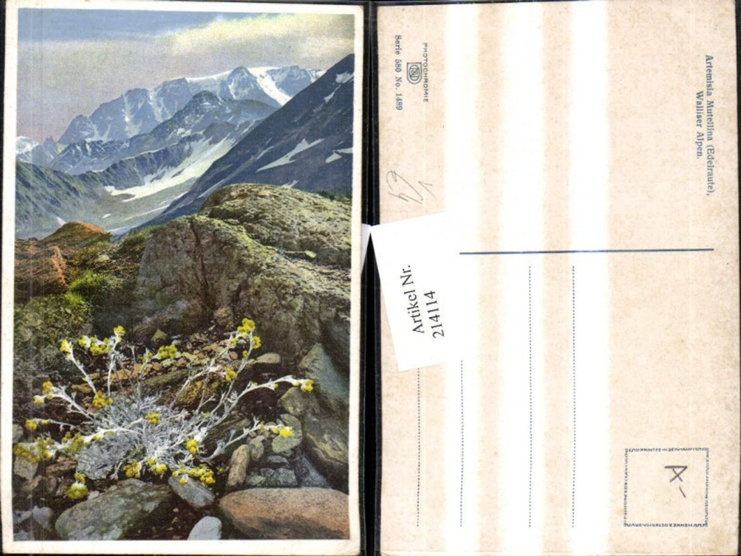 214114,Photochromie 580/1489 Walliser Alpen Edelraute