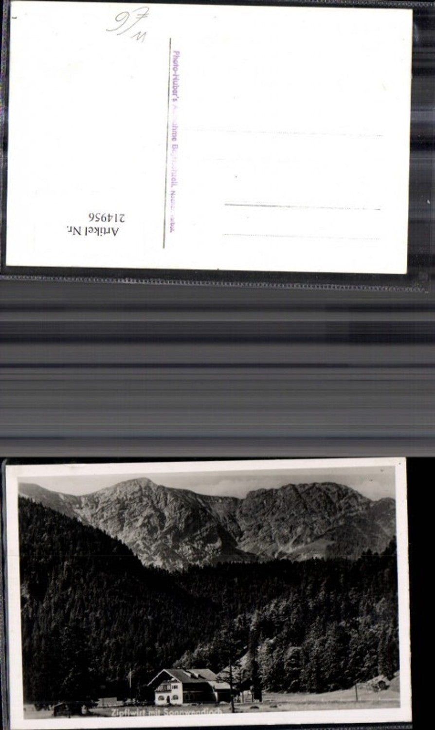 214956,Foto Ak Zipflwirt m. Sonnwendjoch Bayrischzell