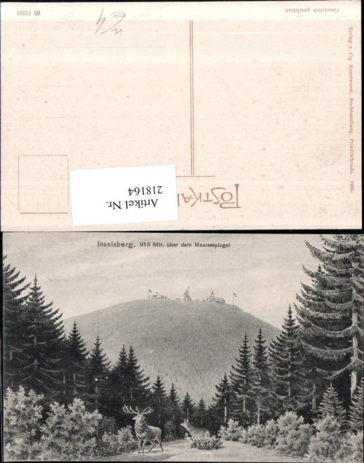 218164,Inselsberg b. Tabarz Waldpartie hirsch