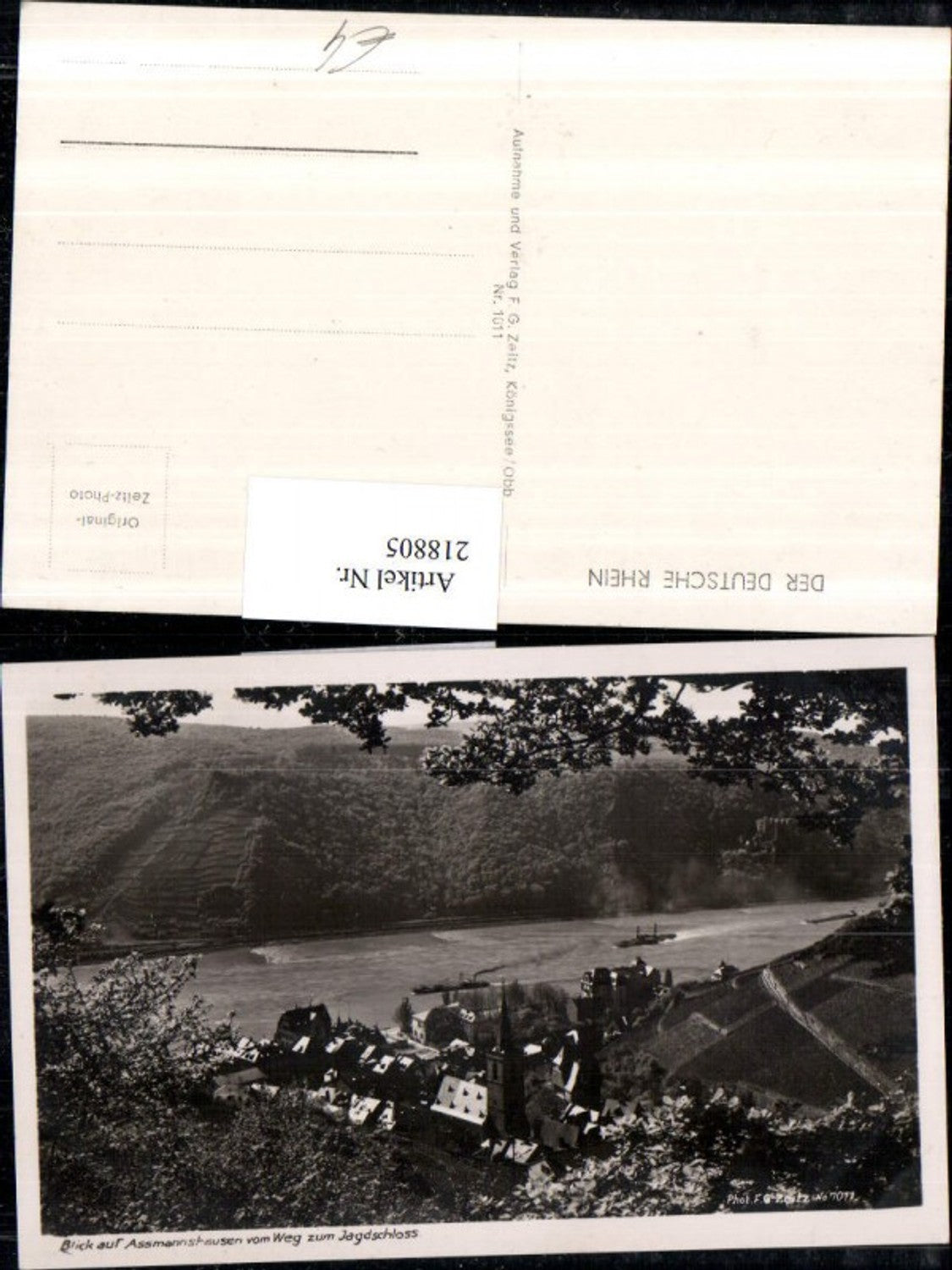 218805,Blick auf Assmannshausen vom Weg zum Jagdschloss Teilansicht