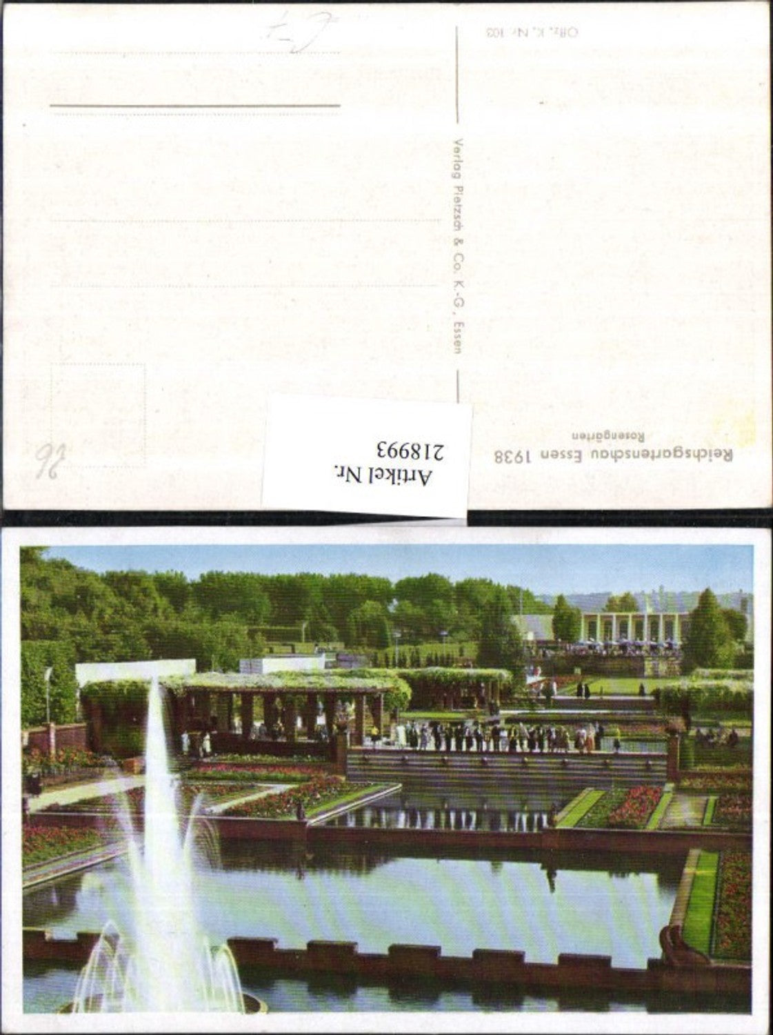 218993,Reichsgartenschau Essen 1938 Rosengärten Brunnen