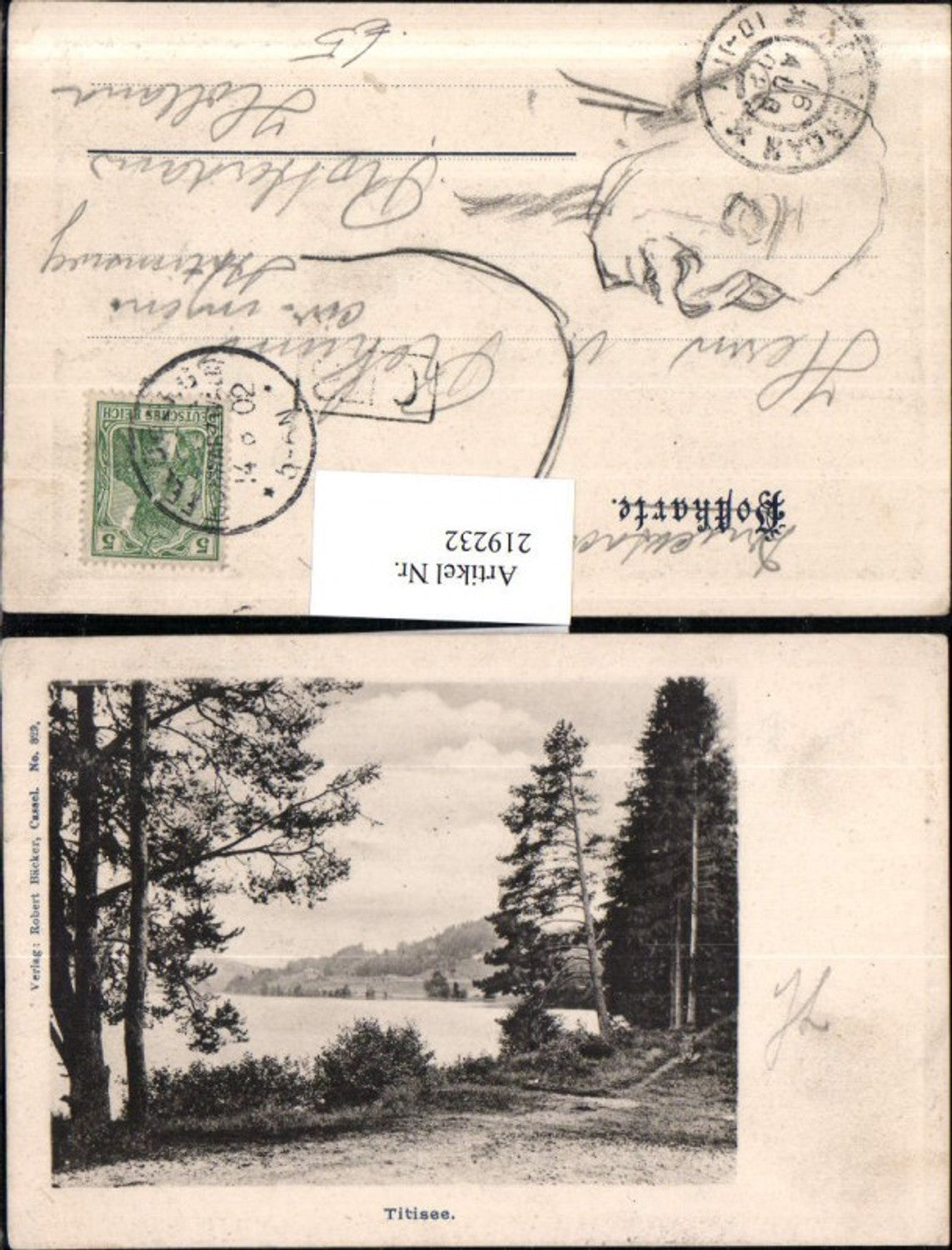 219232,Titisee-Neustadt Titisee See Partie