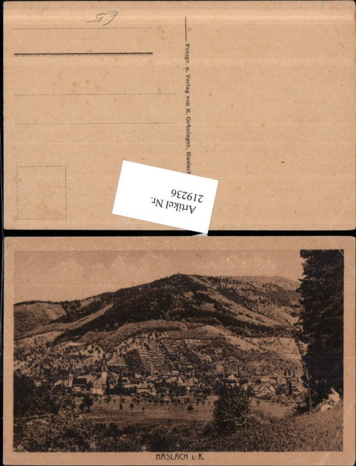 219236,Haslach i. Kinzigtal Totale