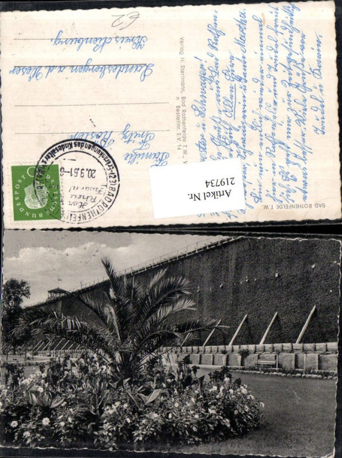 219734,Bad Rothenfelde Teutoburger Wald Partie Palme Mauer