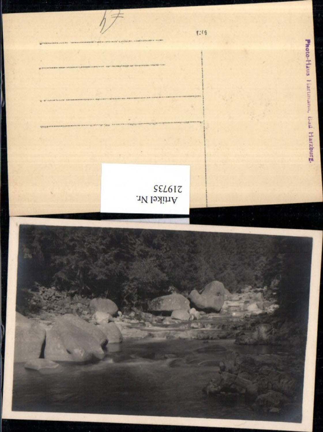 219735,Bad Harzburg Partie Fluss pub Photo-Haus Hartmann