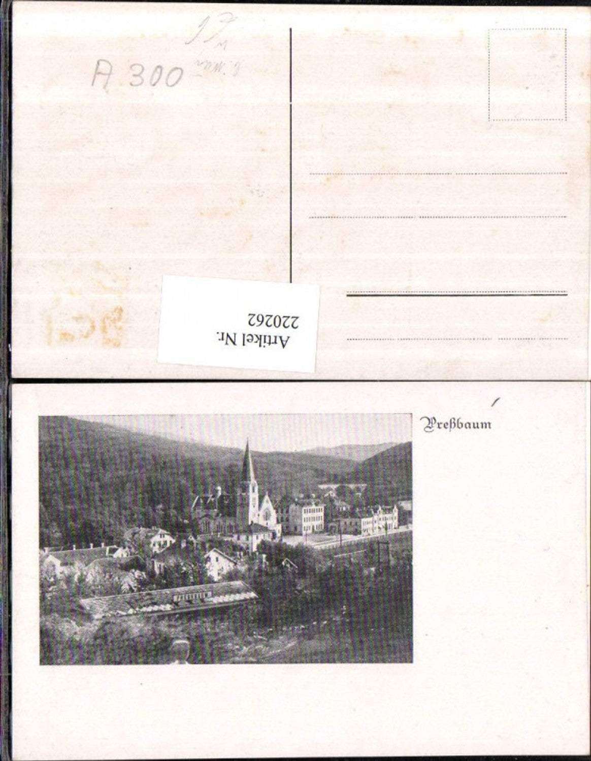 220262,Preßbaum Pressbaum b. Wien Teilansicht