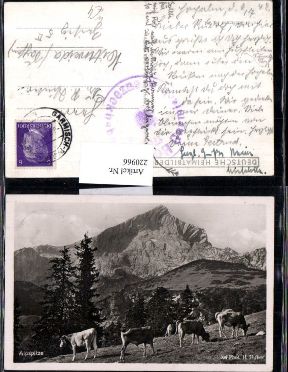 220966,Alpspitze b. Garmisch Partenkirchen Bergkulisse Kühe