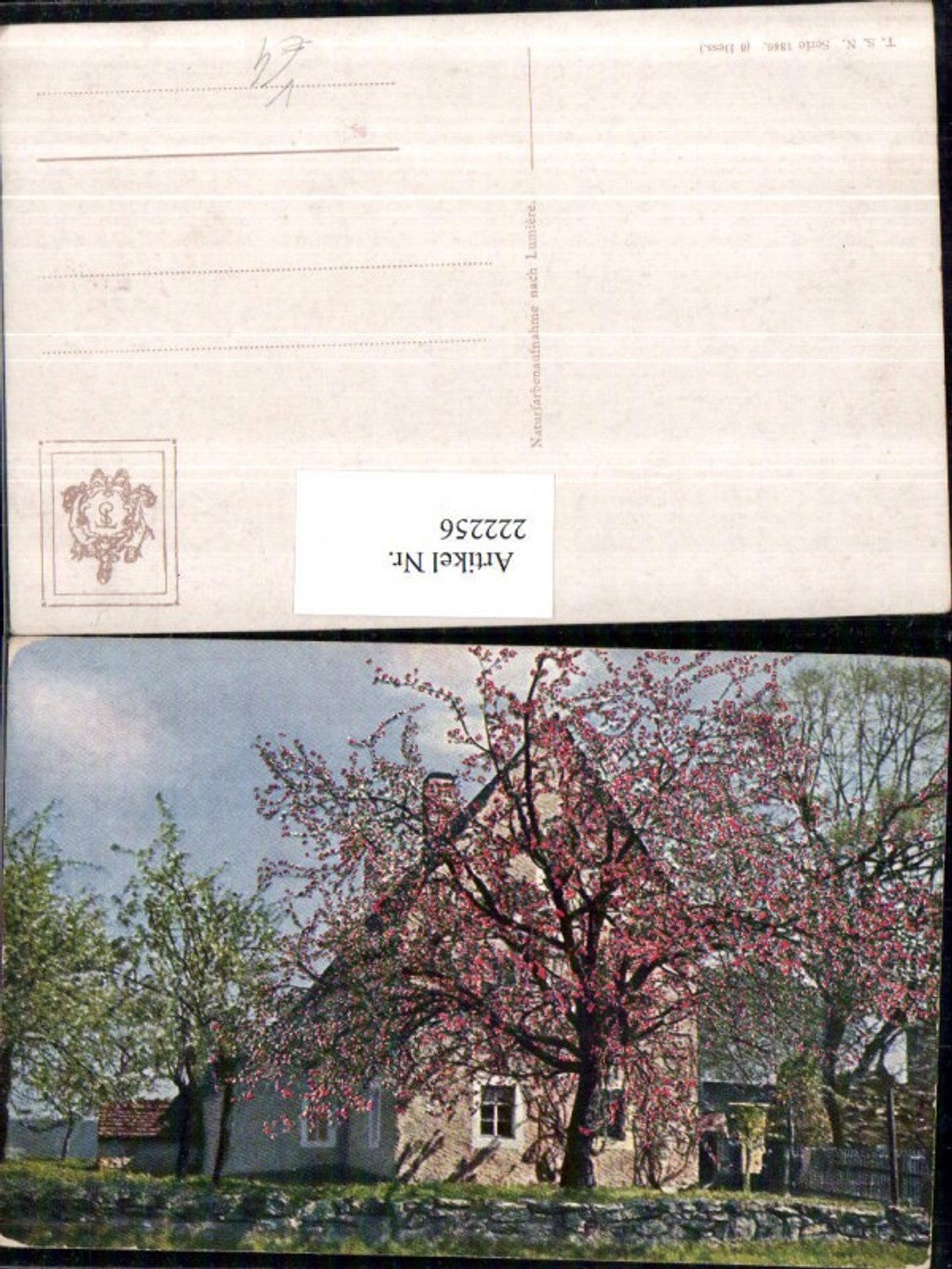 222256,Theo Stroefer Verlag 1346 Hausansicht blühende Bäume