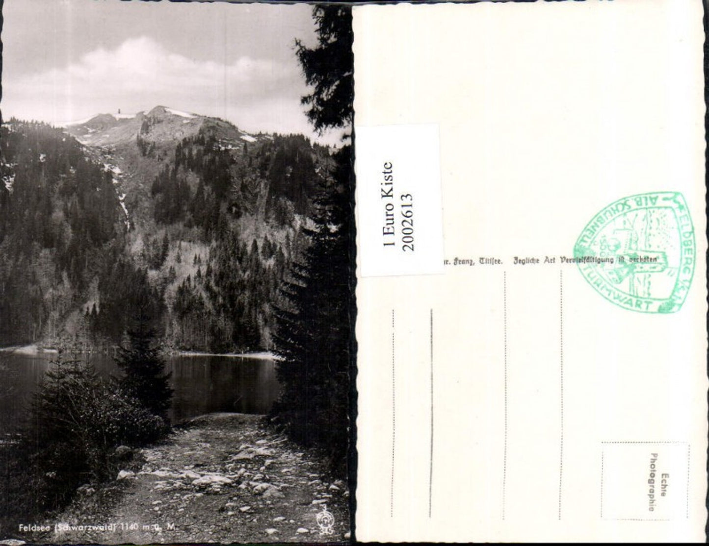 2002613,Feldsee im Schwarzwald See Partie