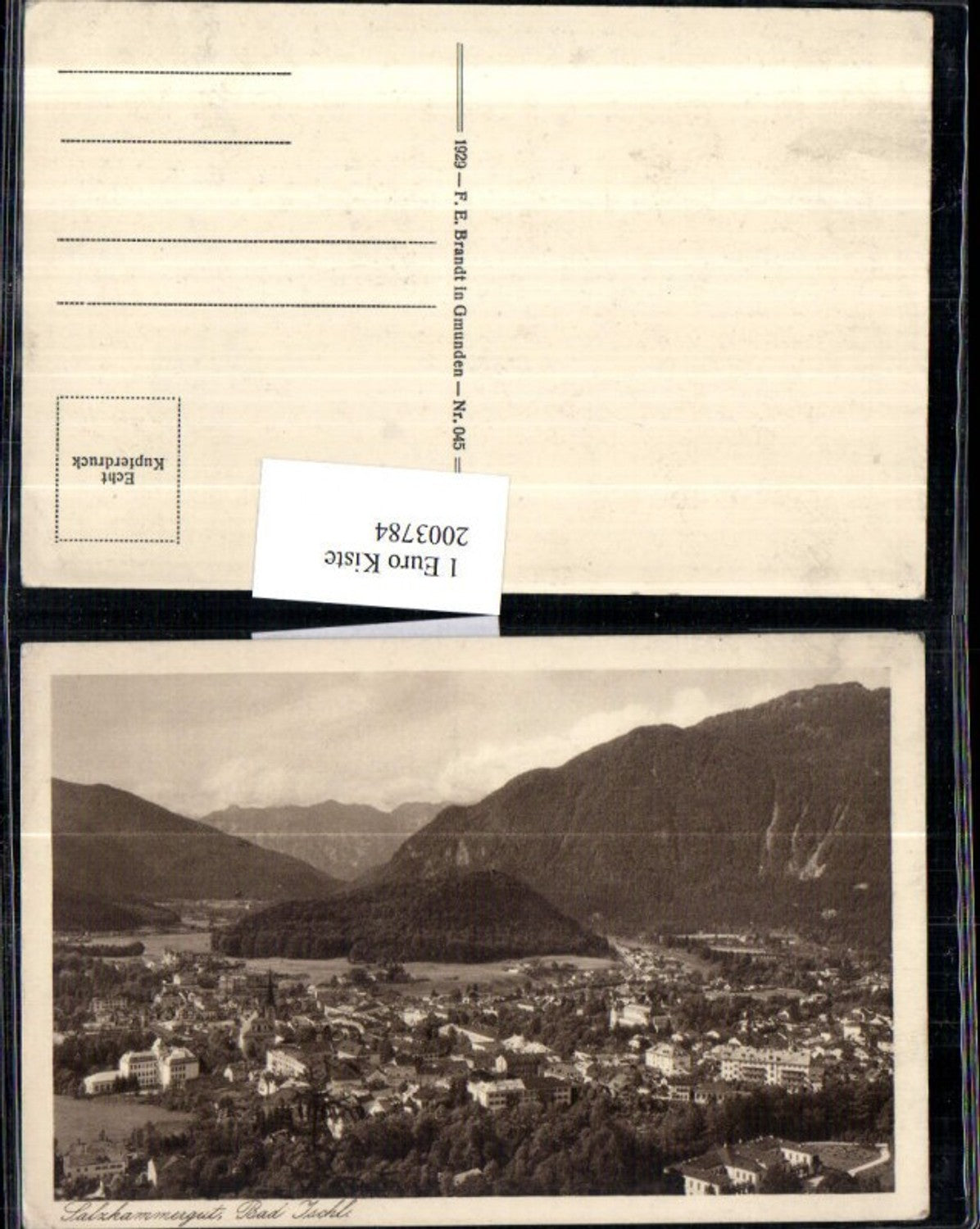 2003784,Salzkammergut Bad Ischl Totale