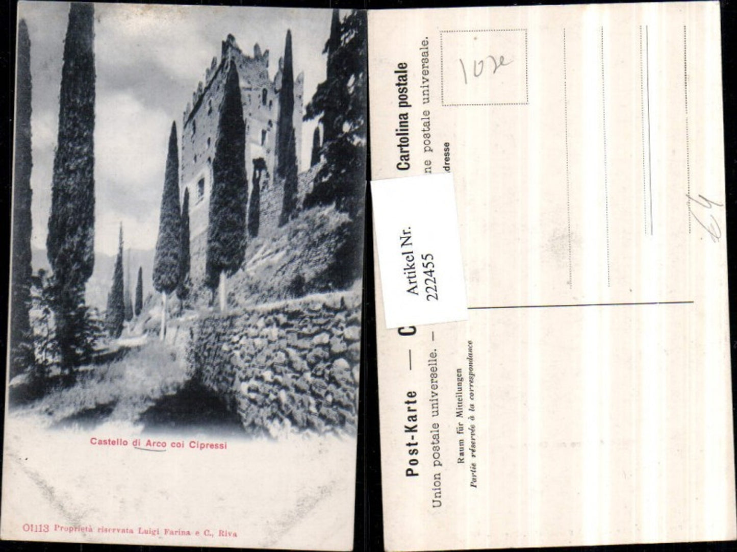 222455,Trentino Castello di Arco coi Cipressi Burgruine Zypressen