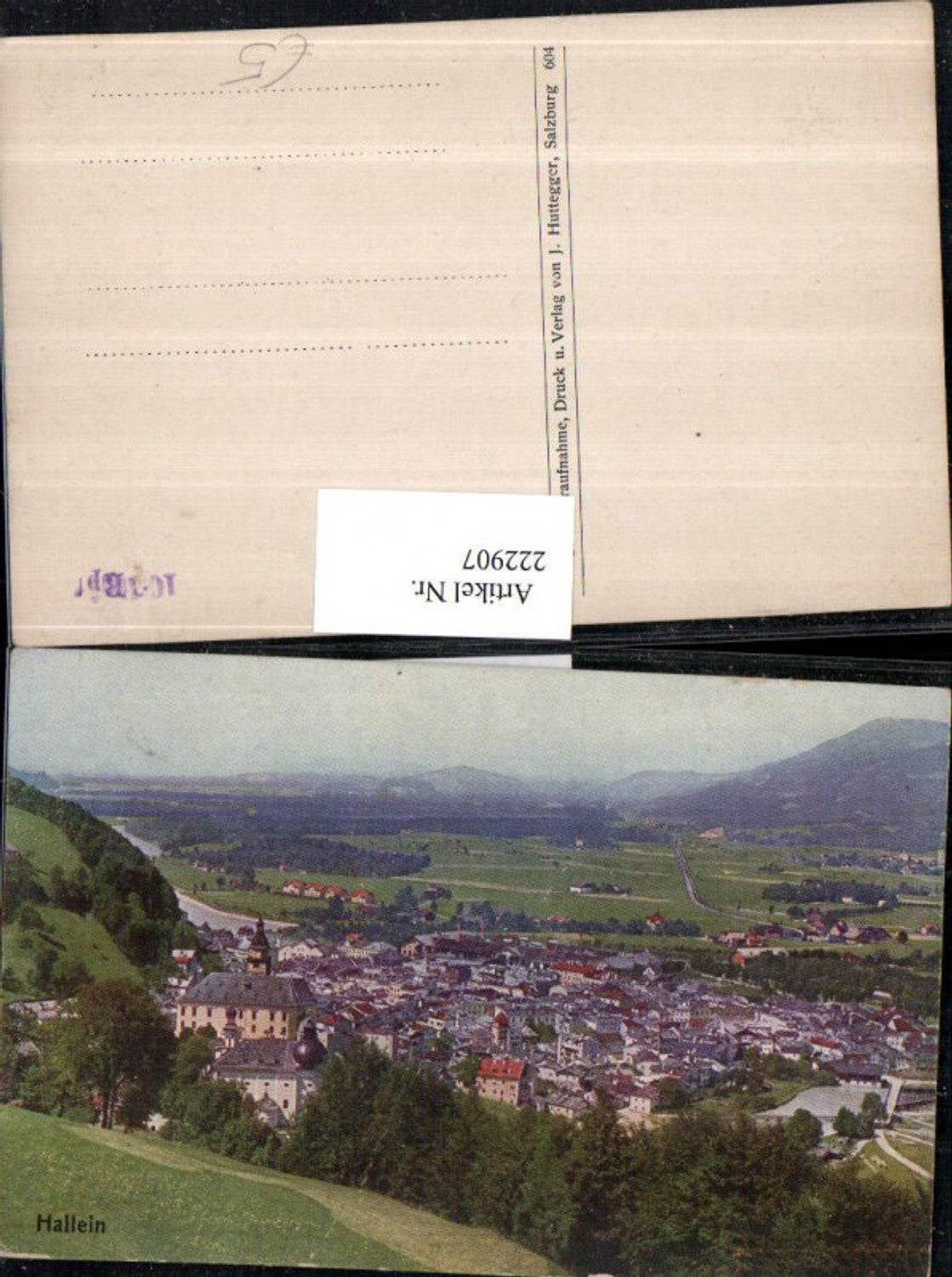 222907,Hallein Totale