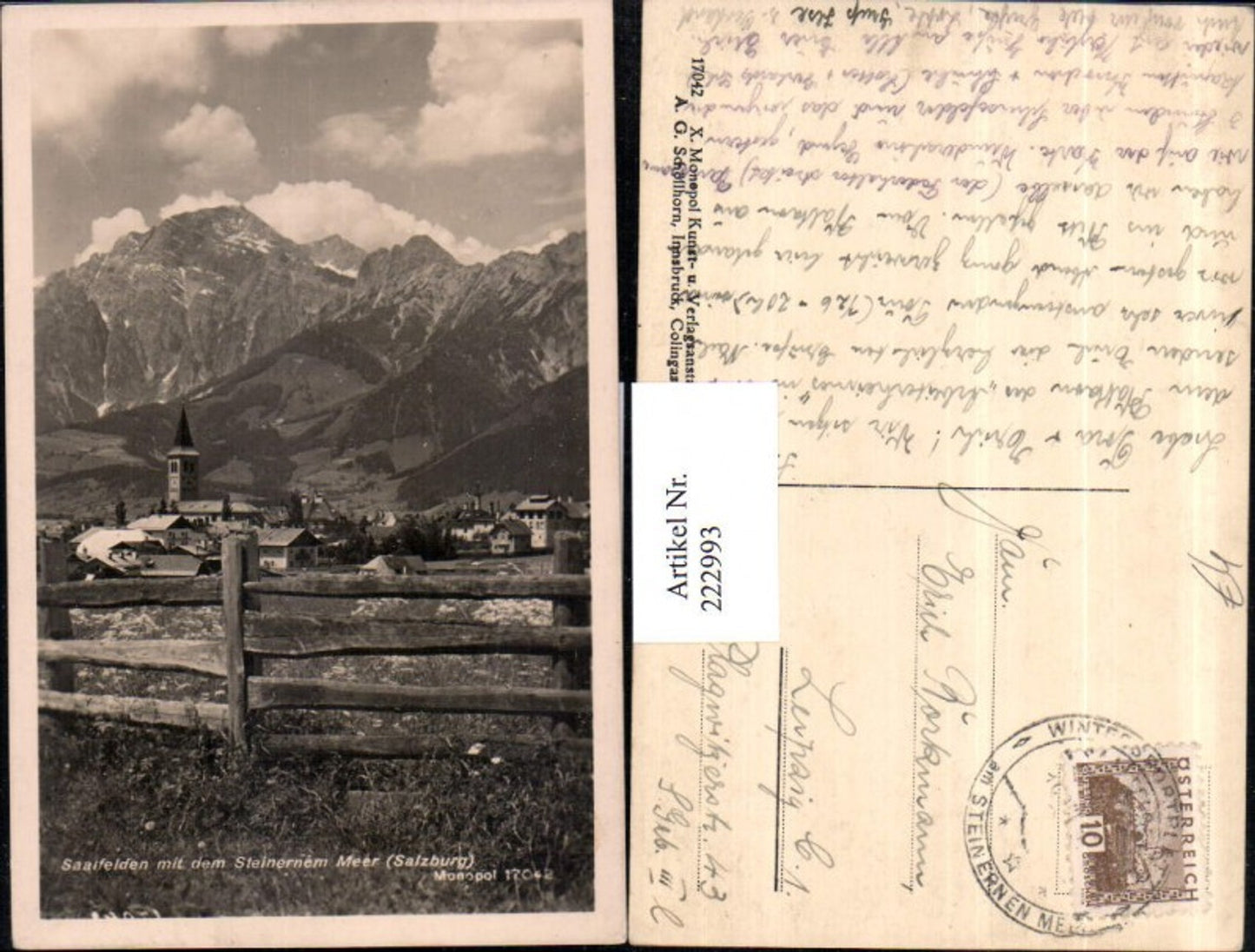 222993,Saalfelden Teilansicht m. d. Steinernem Meer