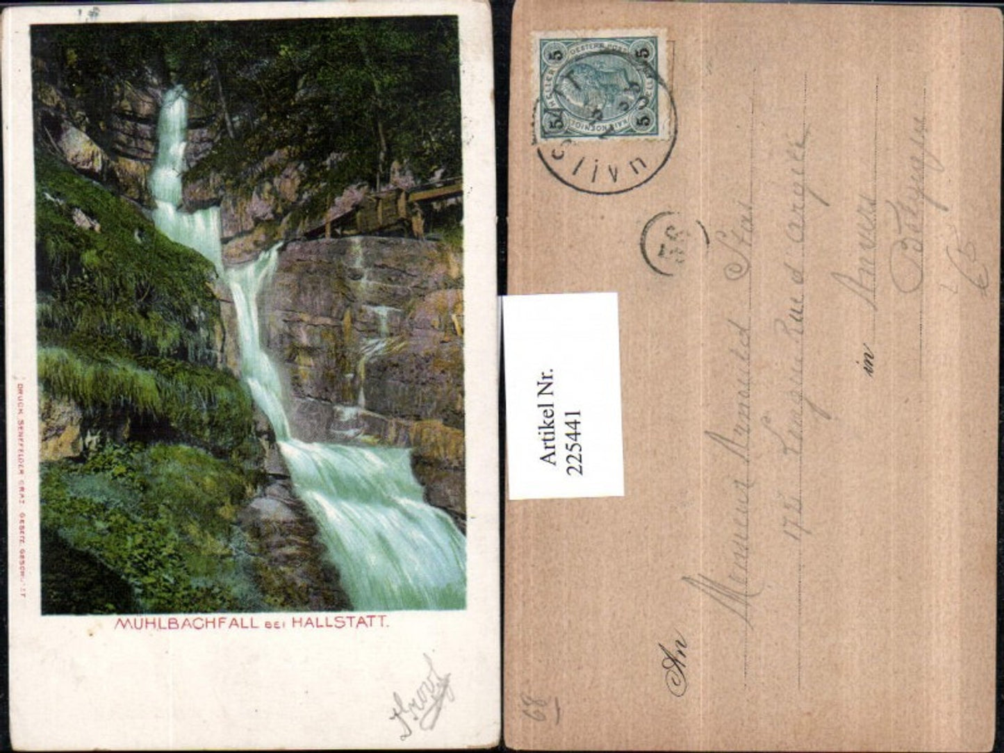 225441,Litho AK Muhlbachfall b. Hallstatt Wasserfall