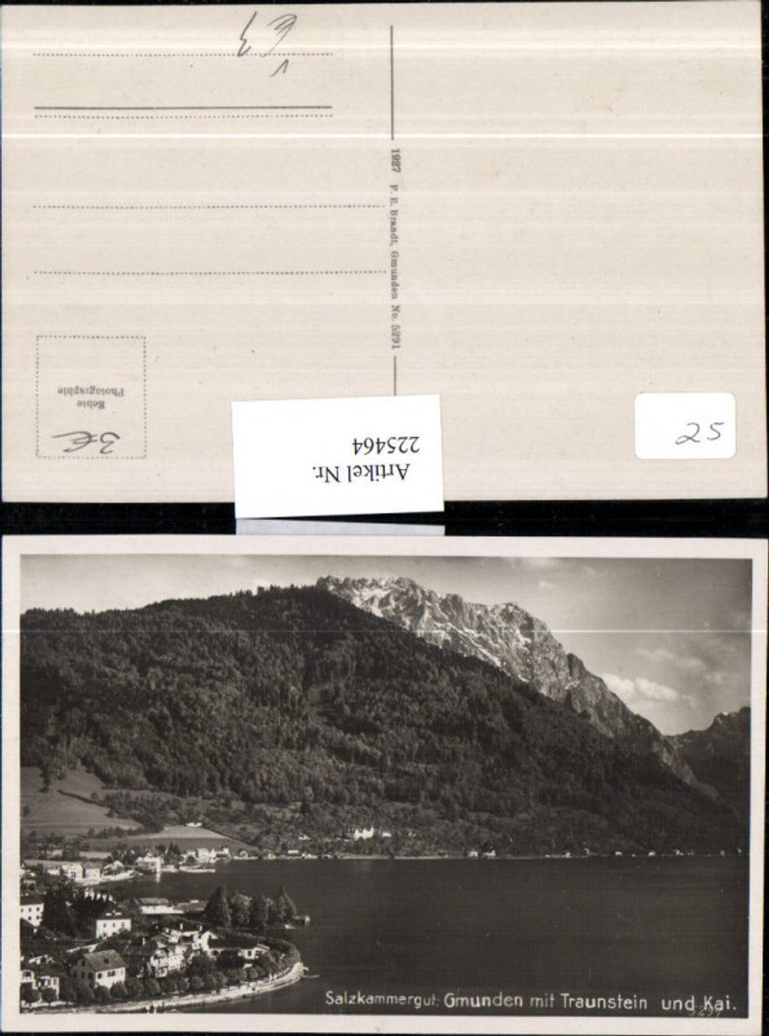 225464,Salzkammergut Gmunden m. Traunstein und Kai pub F. E. Brandt 5291