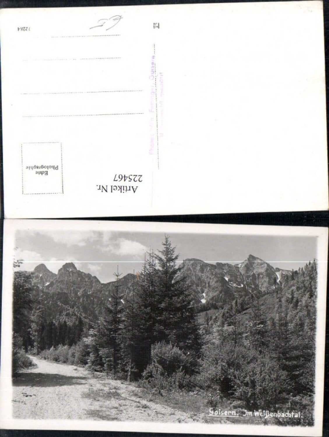 225467,Goisern Im Weißenbachtal Partie Bergkulisse