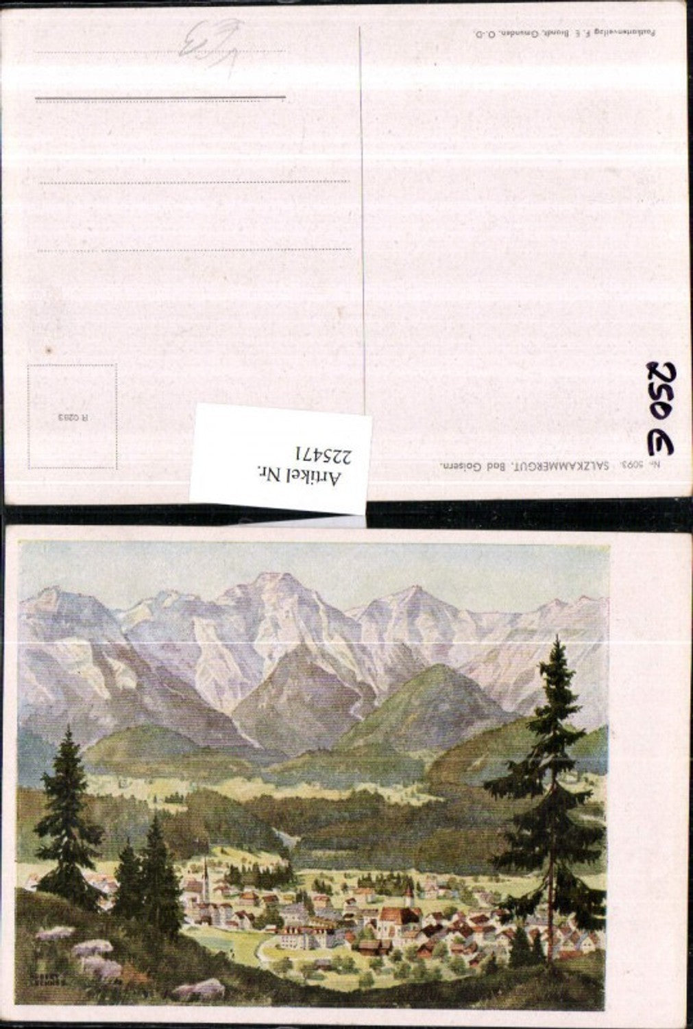 225471,Künstler AK Hubert Lechner Salzkammergut Bad Goisern Totale pub F. E. Brandt 5093