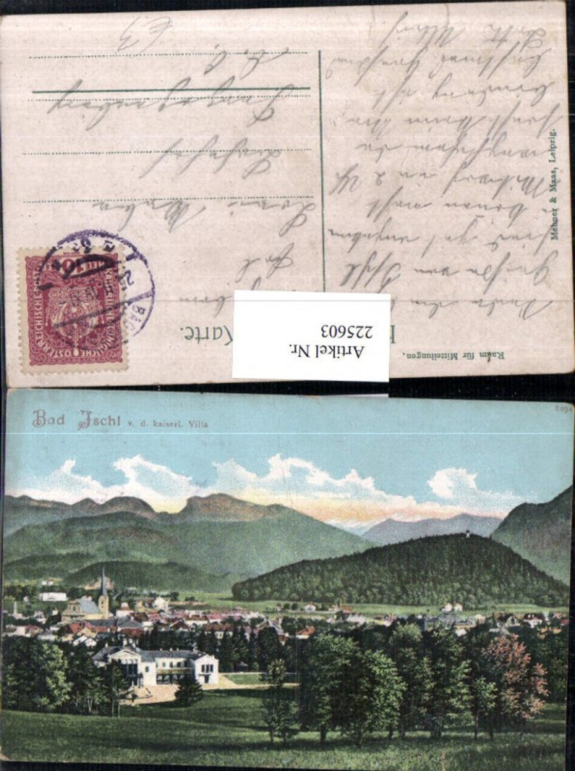 225603,Bad Ischl Totlae v. d. Kaiserlichen Villa Kaiservilla