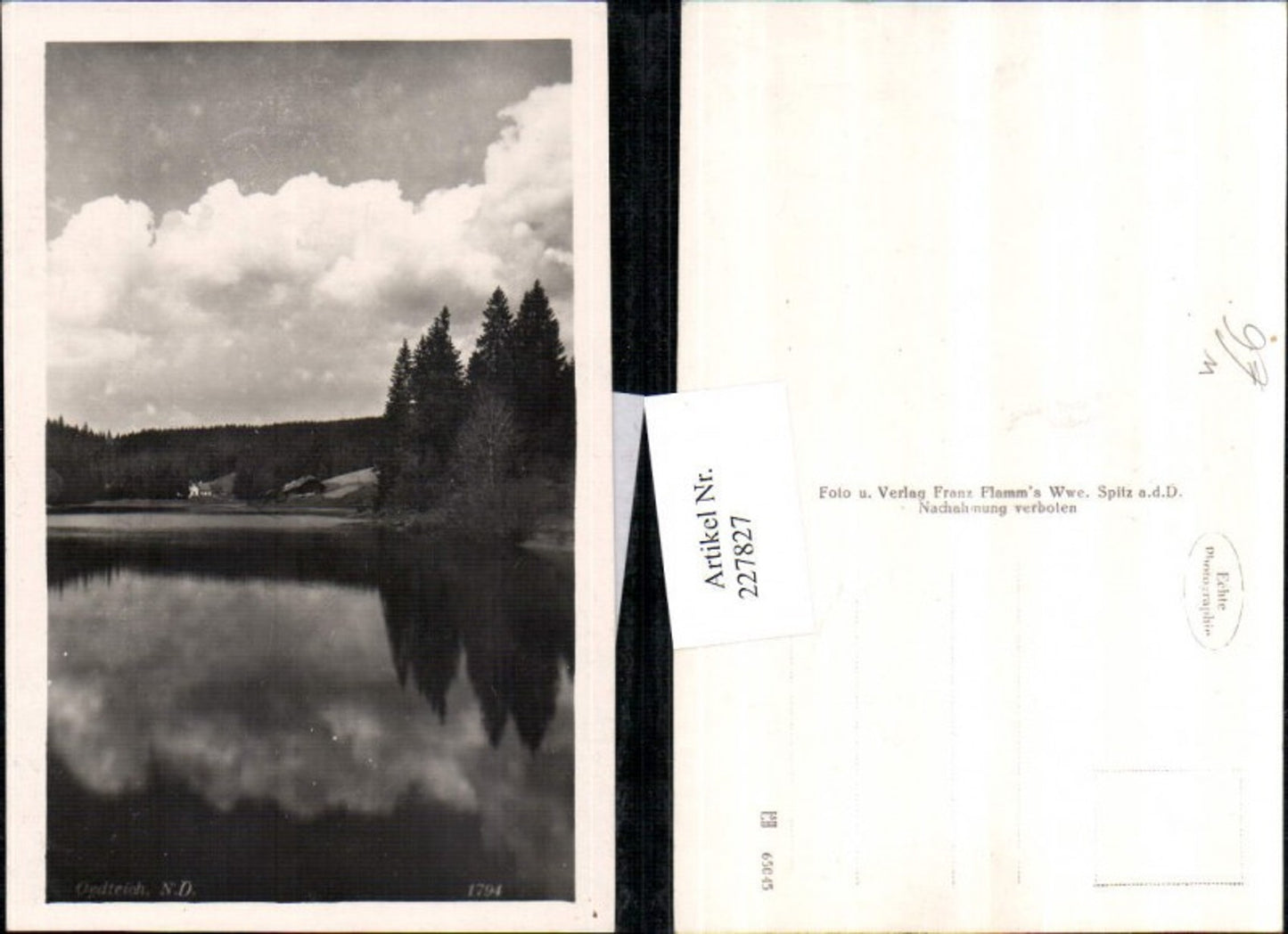 227827,Oedteich b. Ysper Yspertal game