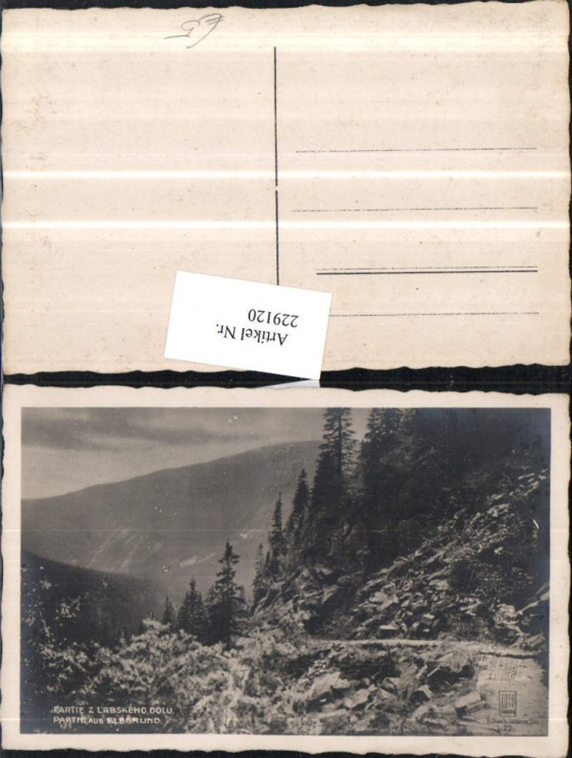 229120,Partie aus Elbgrund