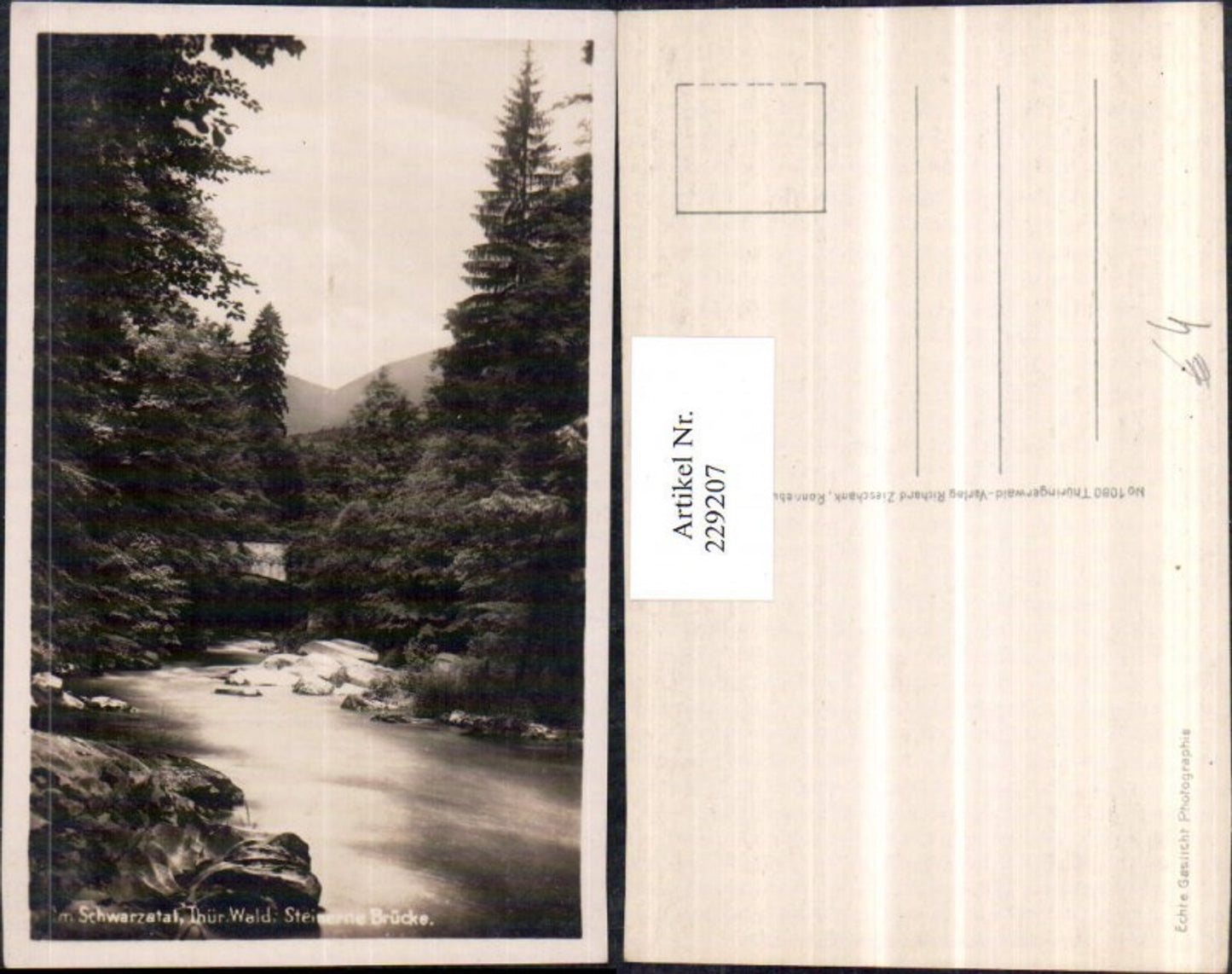 229207, In the Schwarzatal valley in the Thuringian Forest, Stone Bridge section