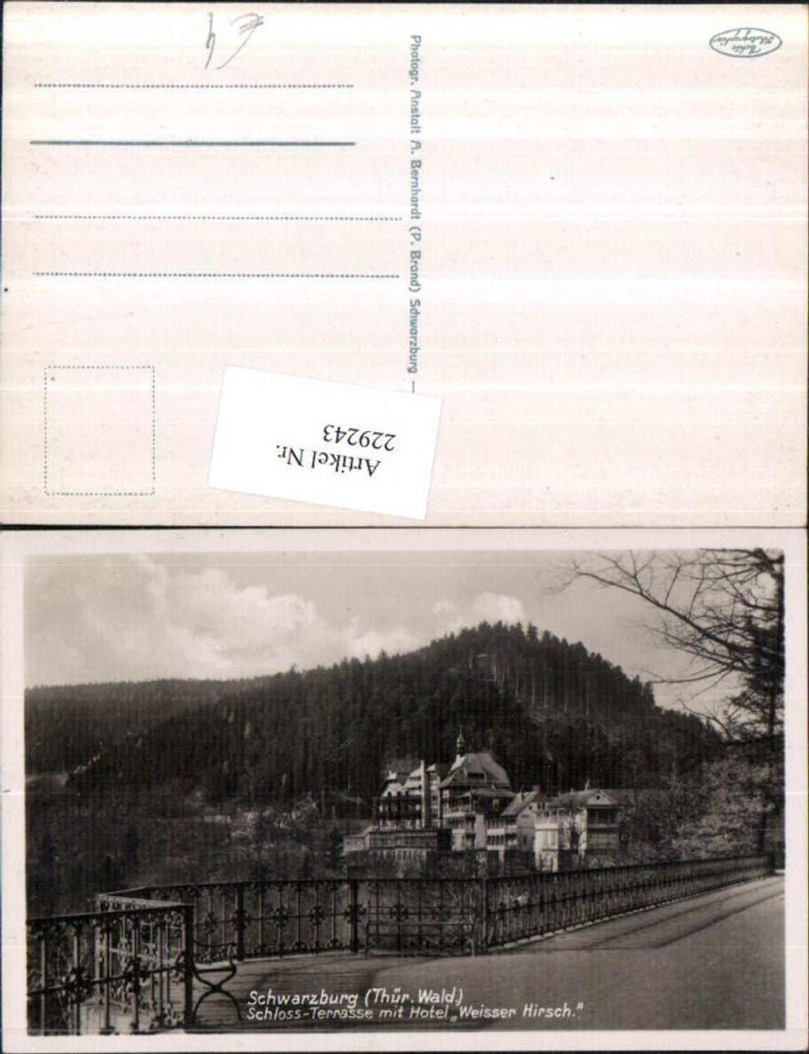 229243,Schwarzburg im Thüringer Wald Schloss-Terrasse m. Hotel Weißer Hirsch