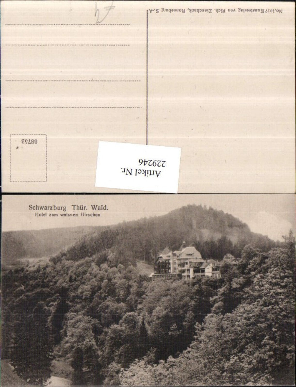 229246,Schwarzburg im Thüringer Wald Hotel zum weißen Hirschen
