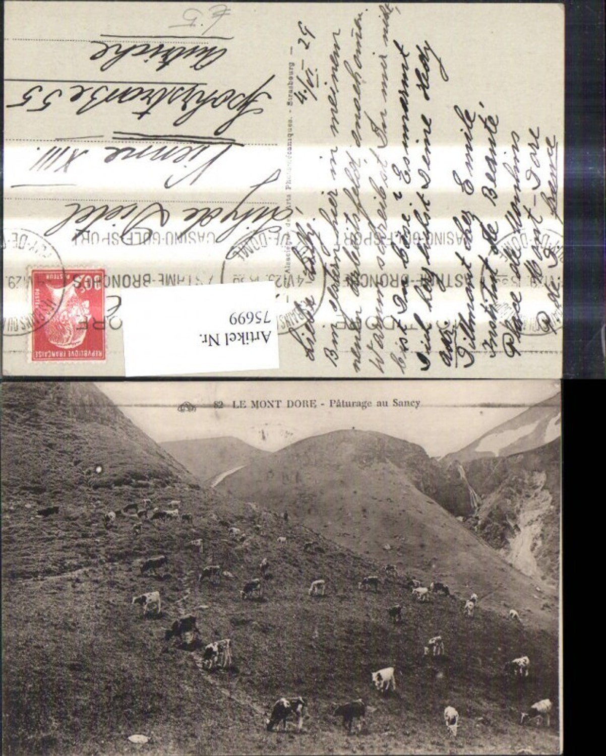 75699,Le Mont Dore Paturage au Sancy Bergansicht m. Kühe Weide