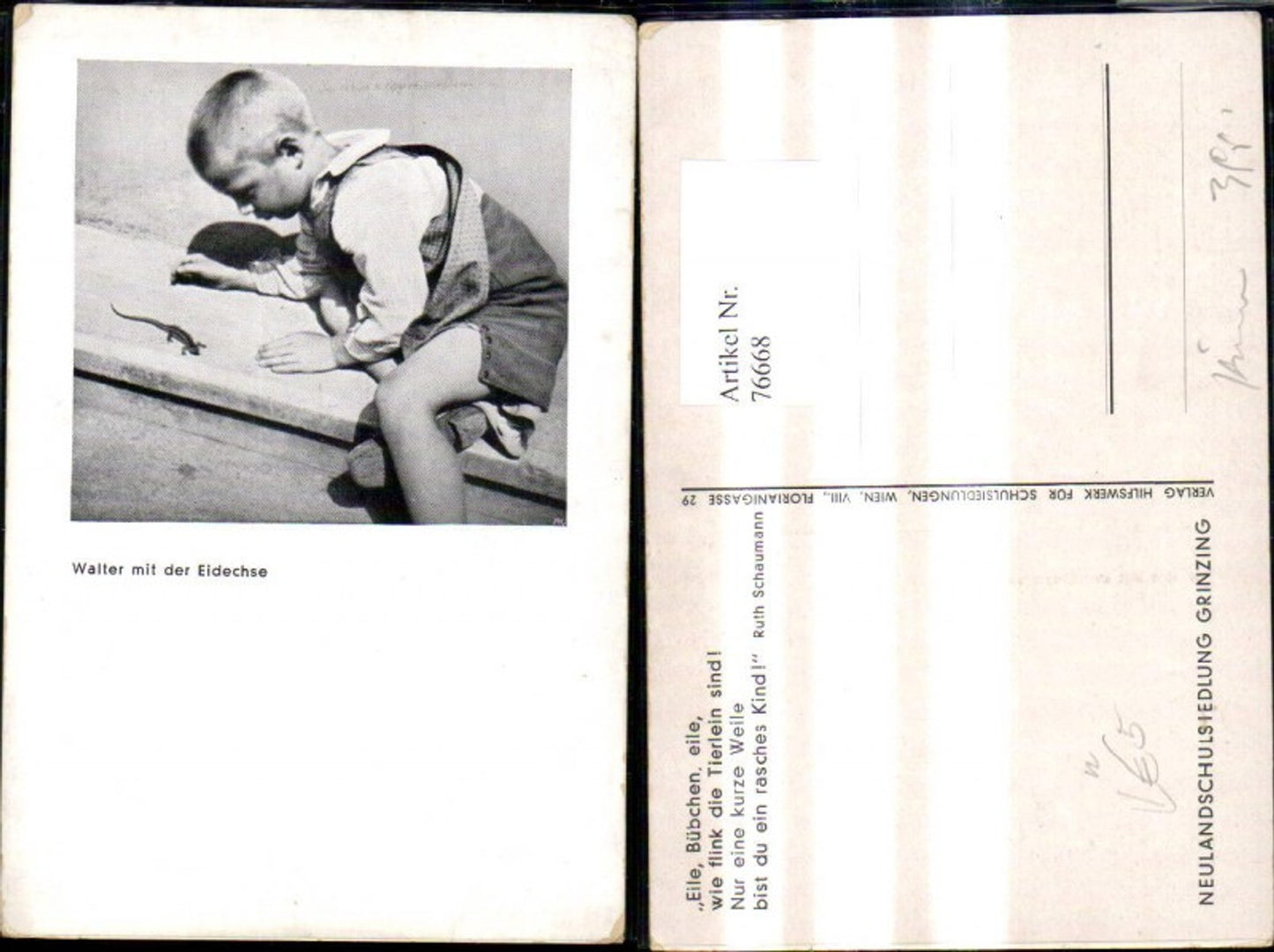 76668,Walter m. d. Eidechse Bub Junge Passepartout pub Neulandschulsiedlung Grinzing