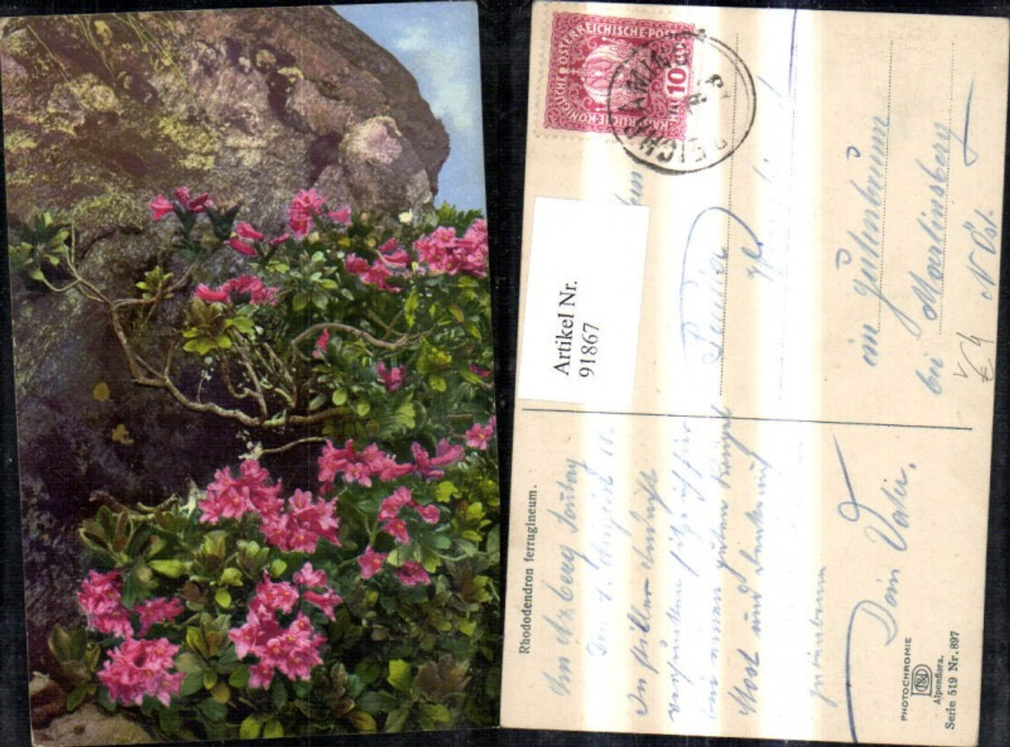 91867,Photochromie Nenke & Ostermaier 519/897 Blumen Stein Fels