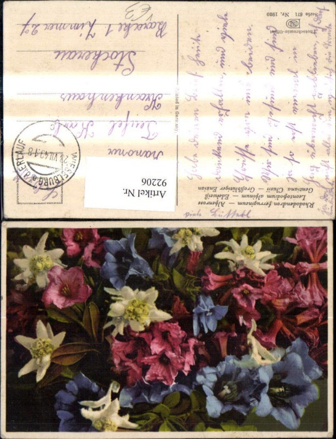 92206,Photochromie Nenke & Ostermaier 671/1920 Alpenrose Edelweiß Enzian