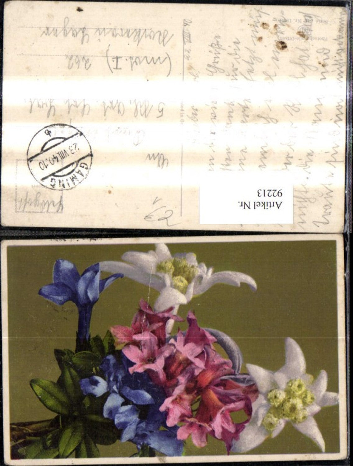 92213, Photochromie Nenke & Ostermaier 646/1823 Flowers Edelweiss Gentian Alpine Rose