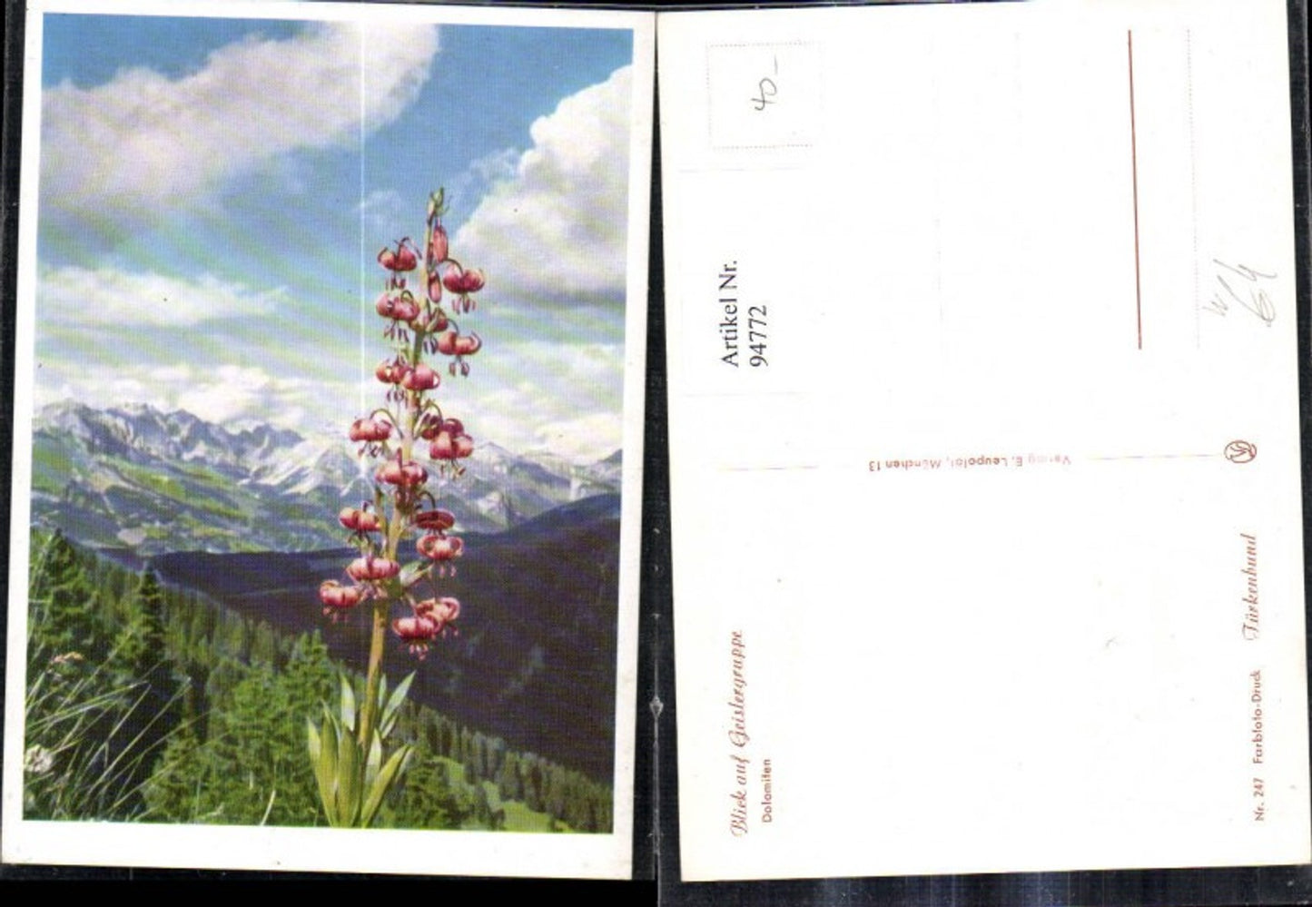 Alte Ansichtskarte – Old Postcard