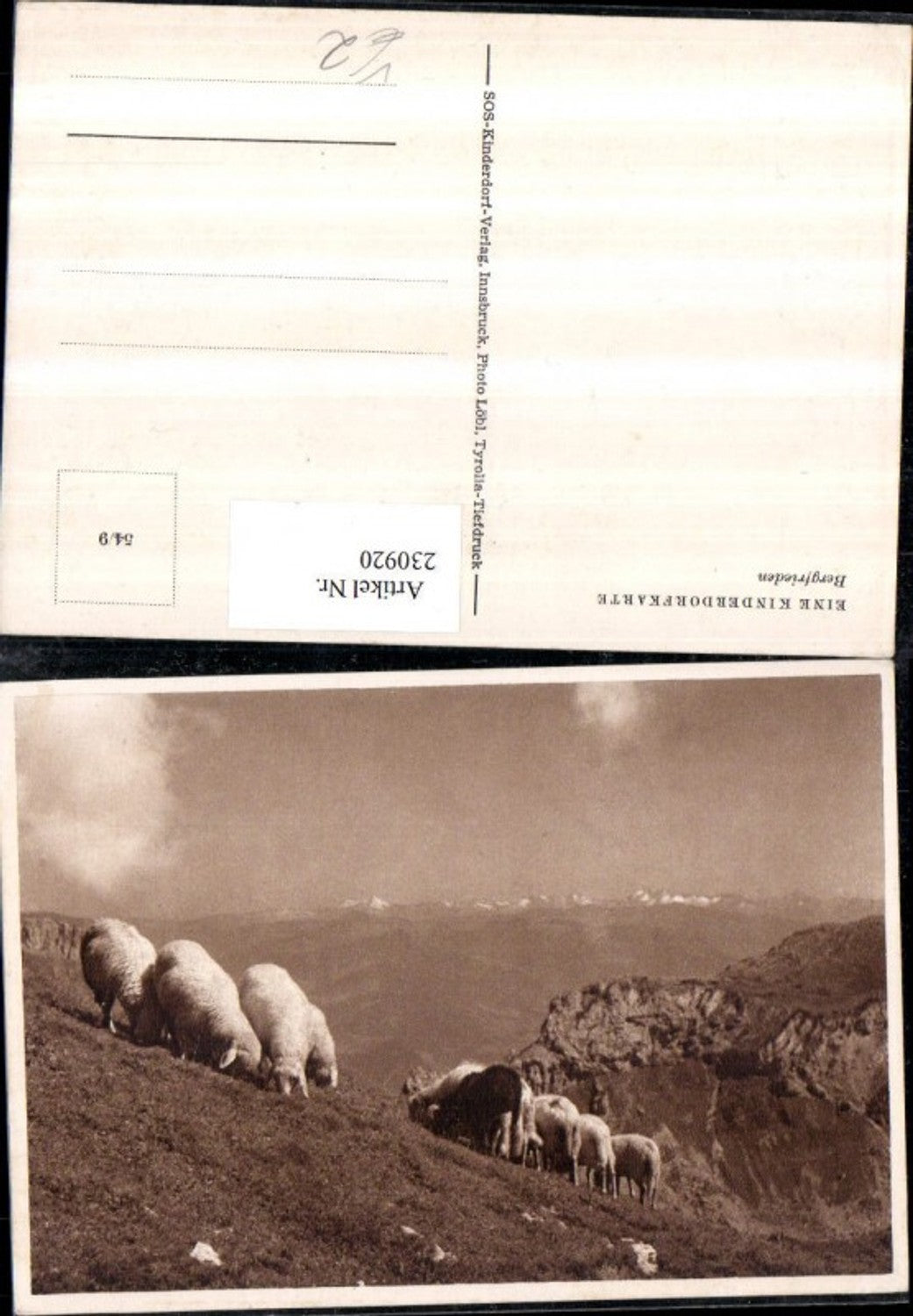 230920,SOS Kinderdorf 54/9 Bergfrieden Schafe Bergkulisse