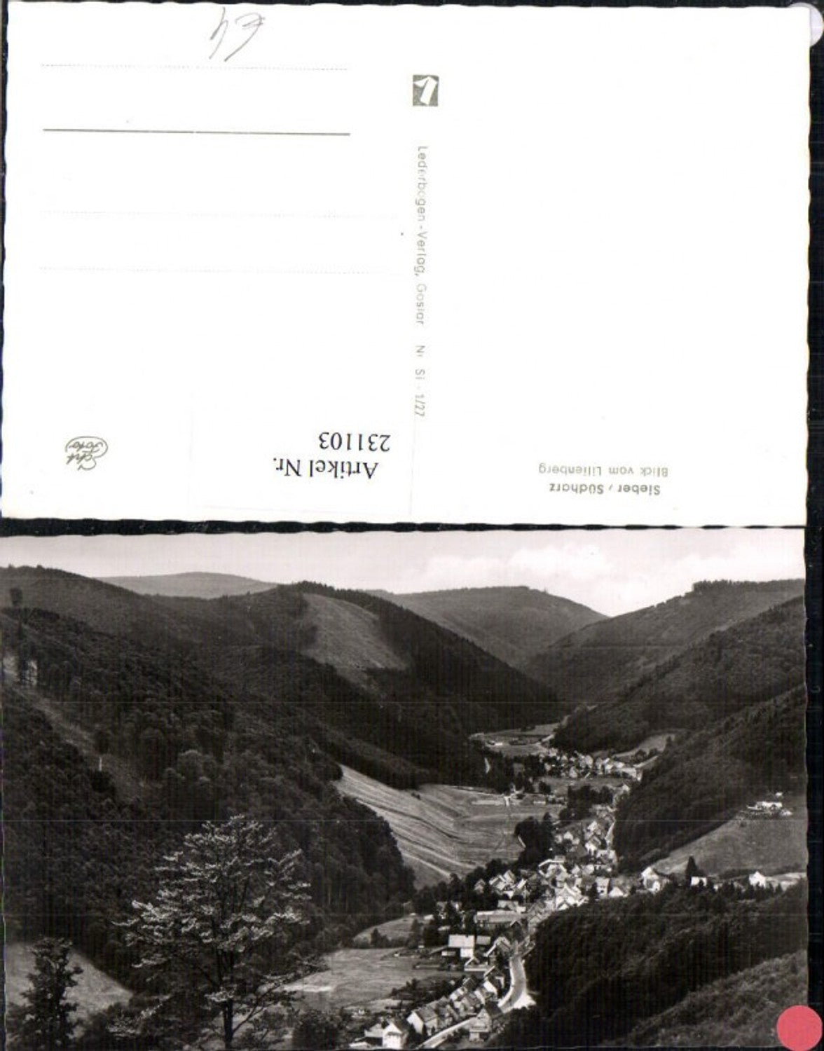 231103,Sieber im Südharz Totale Blick v. Lilienberg