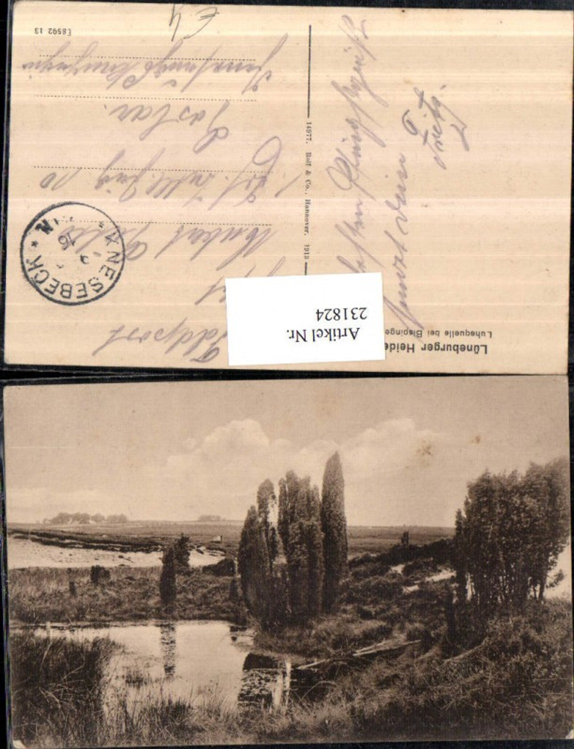 231824,Lüneburger Heide Luhequelle b. Bispingen Partie