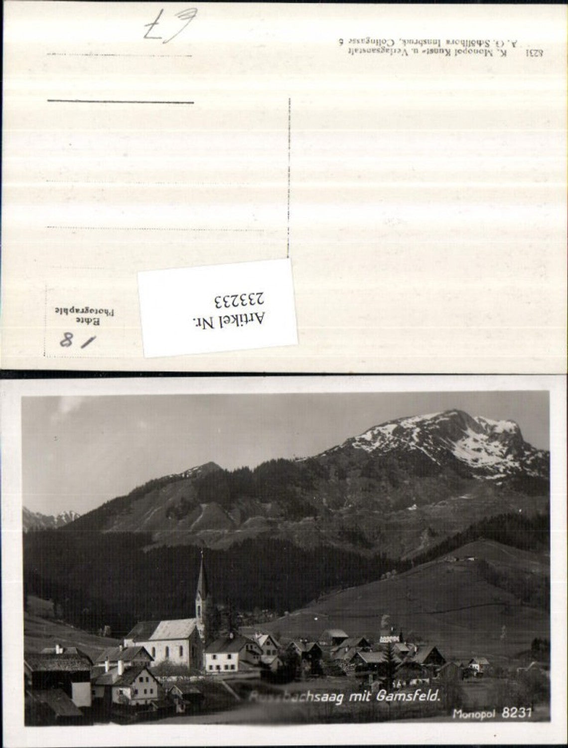 233233,Russbachsaag Totale b. Rußbach am Pass Gschütt m. Gamsfeld