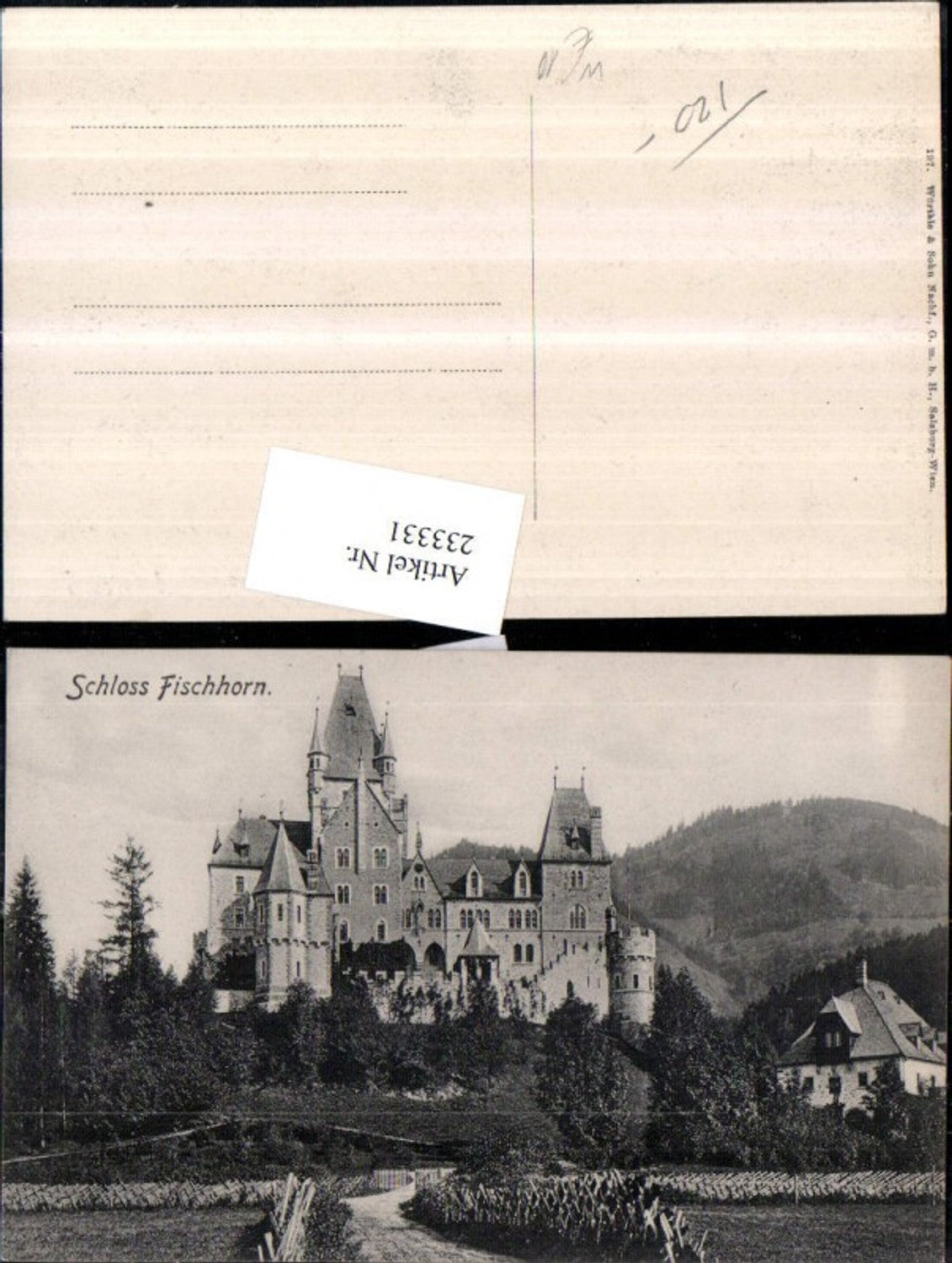 233331,Schloss Fischhorn b. Zell am See